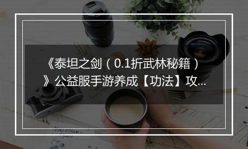 《泰坦之剑（0.1折武林秘籍）》公益服手游养成【功法】攻略