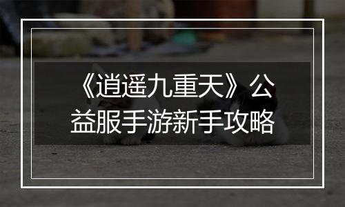 《逍遥九重天》公益服手游新手攻略