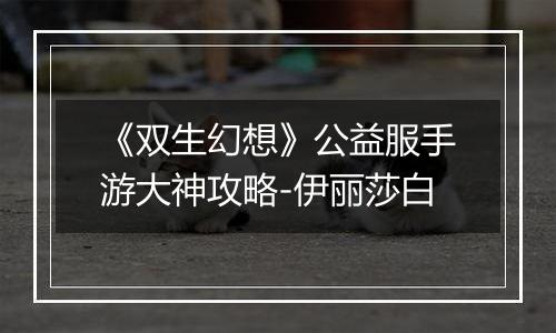 《双生幻想》公益服手游大神攻略-伊丽莎白