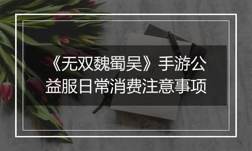 《无双魏蜀吴》手游公益服日常消费注意事项