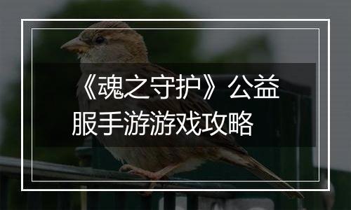《魂之守护》公益服手游游戏攻略
