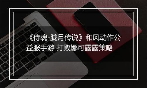 《侍魂-胧月传说》和风动作公益服手游 打败娜可露露策略