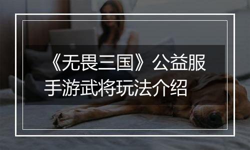 《无畏三国》公益服手游武将玩法介绍
