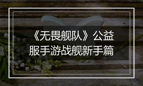 《无畏舰队》公益服手游战舰新手篇