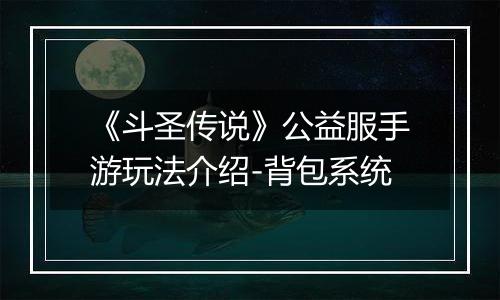 《斗圣传说》公益服手游玩法介绍-背包系统
