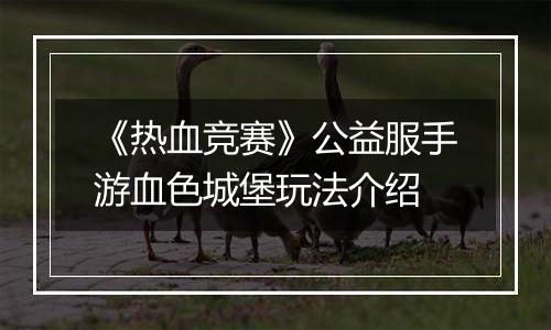 《热血竞赛》公益服手游血色城堡玩法介绍