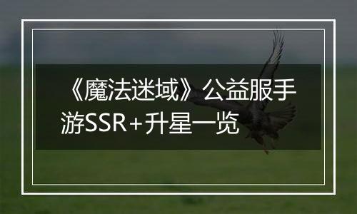 《魔法迷域》公益服手游SSR+升星一览