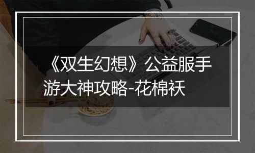 《双生幻想》公益服手游大神攻略-花棉袄