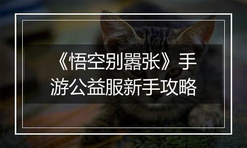 《悟空别嚣张》手游公益服新手攻略