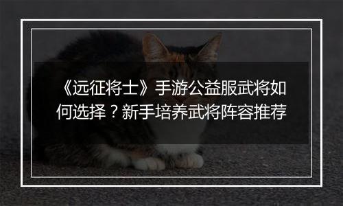 《远征将士》手游公益服武将如何选择？新手培养武将阵容推荐