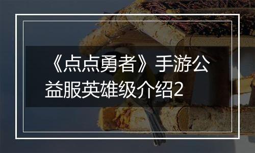 《点点勇者》手游公益服英雄级介绍2