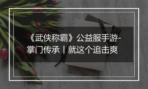 《武侠称霸》公益服手游-掌门传承丨就这个追击爽