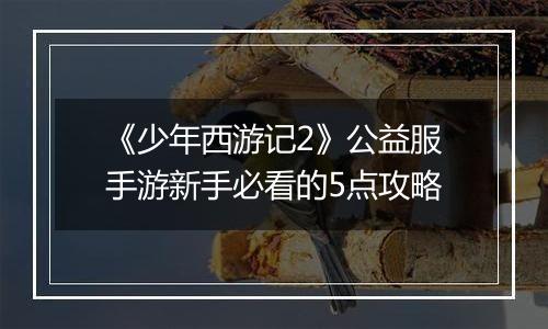《少年西游记2》公益服手游新手必看的5点攻略