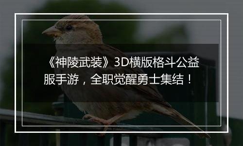 《神陵武装》3D横版格斗公益服手游，全职觉醒勇士集结！