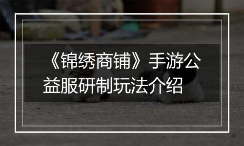 《锦绣商铺》手游公益服研制玩法介绍
