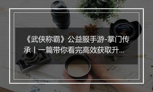 《武侠称霸》公益服手游-掌门传承丨一篇带你看完高效获取升星材料的窍门