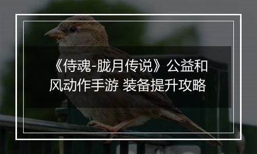 《侍魂-胧月传说》公益和风动作手游 装备提升攻略