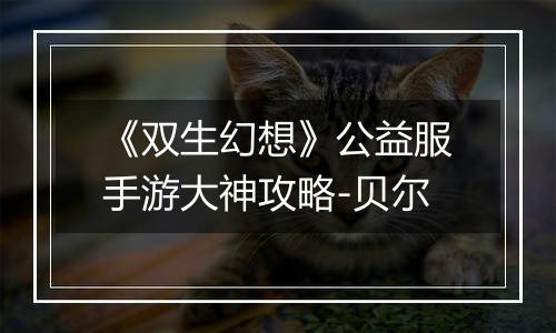 《双生幻想》公益服手游大神攻略-贝尔