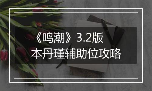 《鸣潮》3.2版本丹瑾辅助位攻略