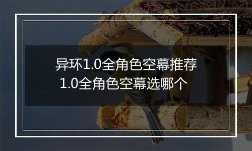 异环1.0全角色空幕推荐 1.0全角色空幕选哪个
