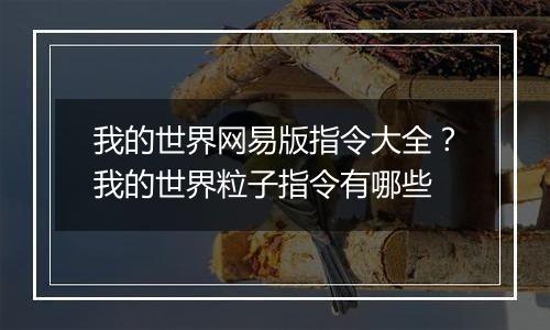 我的世界网易版指令大全？我的世界粒子指令有哪些