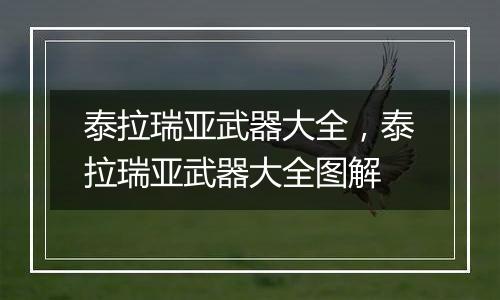 泰拉瑞亚武器大全，泰拉瑞亚武器大全图解
