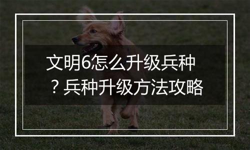 文明6怎么升级兵种？兵种升级方法攻略