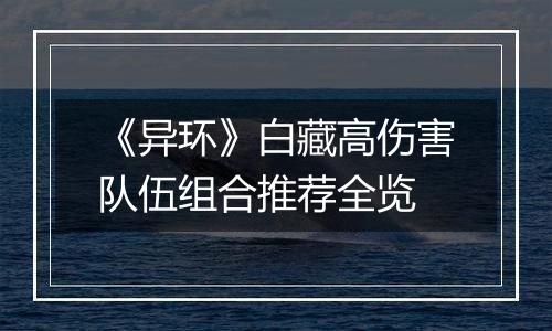 《异环》白藏高伤害队伍组合推荐全览