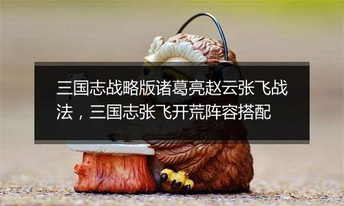三国志战略版诸葛亮赵云张飞战法，三国志张飞开荒阵容搭配