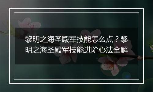 黎明之海圣殿军技能怎么点？黎明之海圣殿军技能进阶心法全解