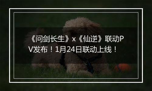 《问剑长生》x《仙逆》联动PV发布！1月24日联动上线！