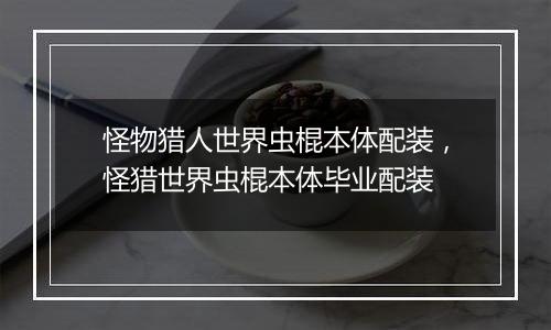 怪物猎人世界虫棍本体配装，怪猎世界虫棍本体毕业配装