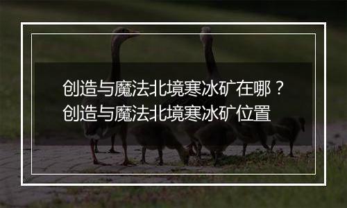 创造与魔法北境寒冰矿在哪？创造与魔法北境寒冰矿位置