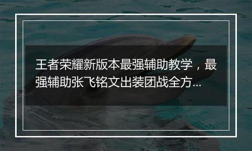 王者荣耀新版本最强辅助教学，最强辅助张飞铭文出装团战全方位教学攻略