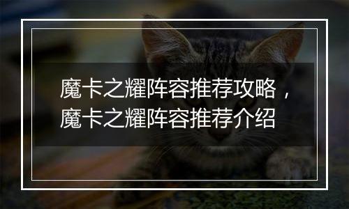 魔卡之耀阵容推荐攻略，魔卡之耀阵容推荐介绍
