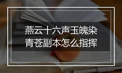 燕云十六声玉魄染青苍副本怎么指挥