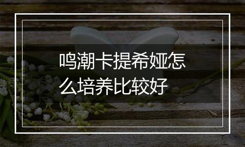 鸣潮卡提希娅怎么培养比较好