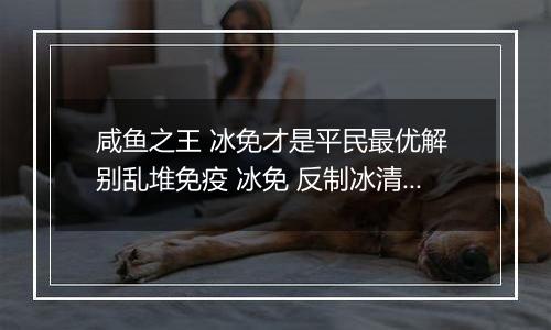 咸鱼之王 冰免才是平民最优解 别乱堆免疫 冰免 反制冰清才是最大收益