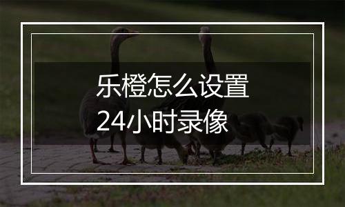 乐橙怎么设置24小时录像