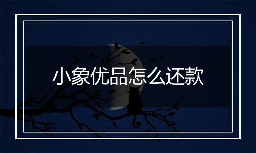 小象优品怎么还款