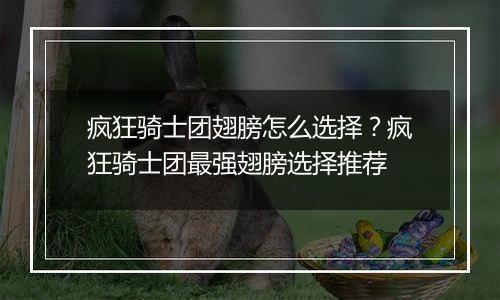 疯狂骑士团翅膀怎么选择？疯狂骑士团最强翅膀选择推荐