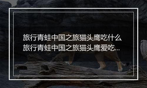 旅行青蛙中国之旅猫头鹰吃什么 旅行青蛙中国之旅猫头鹰爱吃食物一览