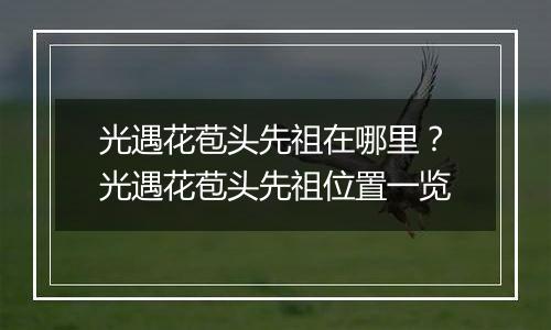 光遇花苞头先祖在哪里？光遇花苞头先祖位置一览