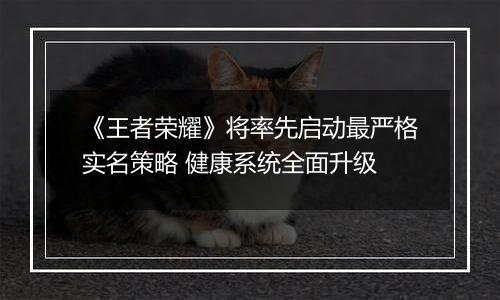 《王者荣耀》将率先启动最严格实名策略 健康系统全面升级