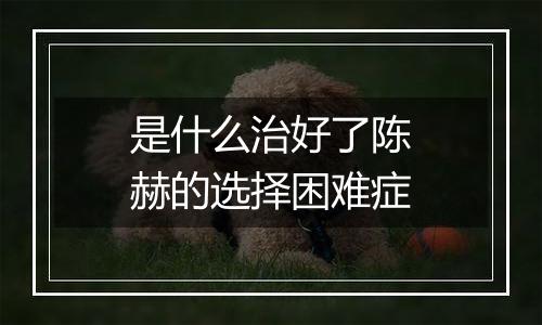 是什么治好了陈赫的选择困难症