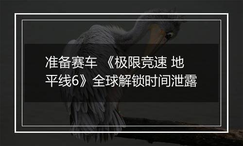 准备赛车 《极限竞速 地平线6》全球解锁时间泄露