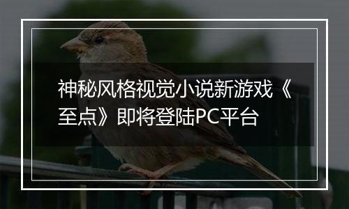 神秘风格视觉小说新游戏《至点》即将登陆PC平台