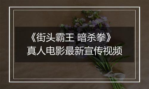 《街头霸王 暗杀拳》真人电影最新宣传视频