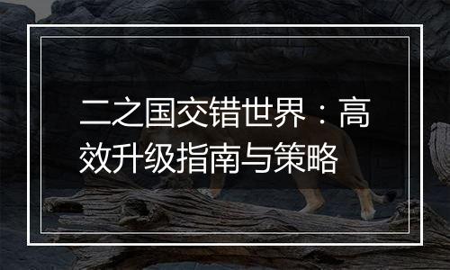 二之国交错世界：高效升级指南与策略