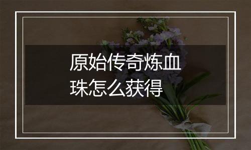 原始传奇炼血珠怎么获得